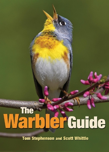 Бумажная книга «The Warbler Guide», авторов Скотт Уиттл, Том Стивенсон - фото №1