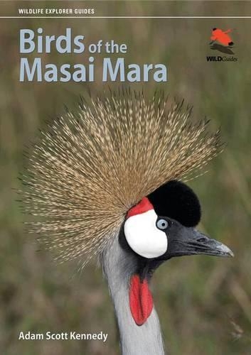 Бумажная книга «Birds of the Masai Mara», автор Адам Скотт Кеннеди - фото №1