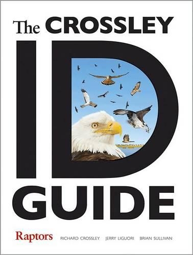Бумажная книга «The Crossley ID Guide Raptors», авторов Брайан Л. Салливан, Джерри Лигуори, Ричард Кроссли - фото №1