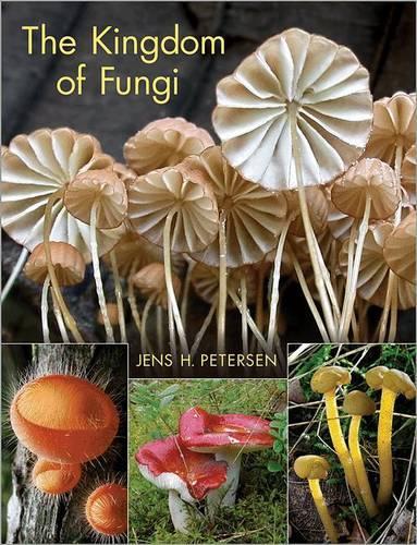 Паперова книга «The Kingdom of Fungi» - фото №1