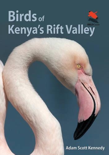 Паперова книга «Birds of Kenya's Rift Valley», автор Адам Скотт Кеннеді - фото №1