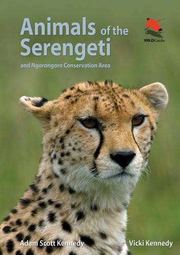 Бумажная книга «Animals of the Serengeti: And Ngorongoro Conservation Area», авторов Адам Скотт Кеннеди, Вики Бирд - фото №1