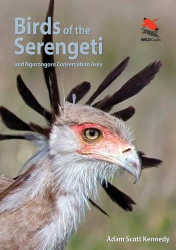 Бумажная книга «Birds of the Serengeti: And Ngorongoro Conservation Area», автор Адам Скотт Кеннеди - фото №1