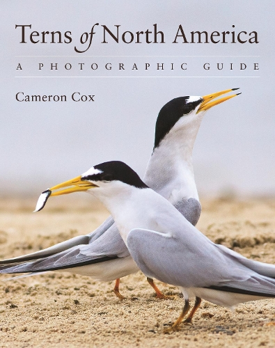 Бумажная книга «Terns of North America: A Photographic Guide», автор Кэмерон Кокс - фото №1