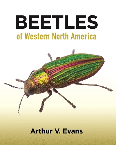 Паперова книга «Beetles of Western North America», автор Артур В. Еванс - фото №1