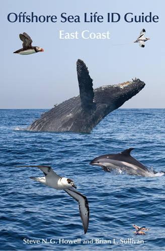 Паперова книга «Offshore Sea Life ID Guide: East Coast», авторів Брайан Л. Салліван, Стів Н. Г. Хауелл - фото №1