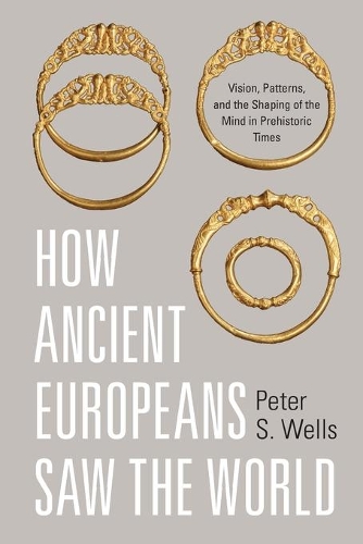 Бумажная книга «How Ancient Europeans Saw the World: Vision, Patterns, and the Shaping of the Mind in Prehistoric Times», автор Питер С. Уэллс - фото №1