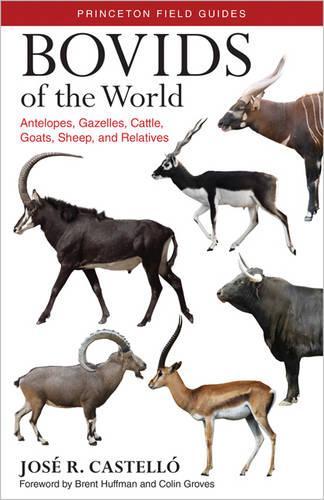 Бумажная книга «Bovids of the World: Antelopes, Gazelles, Cattle, Goats, Sheep, and Relatives», автор Хосе Р. Кастелло - фото №1