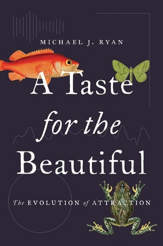 Паперова книга «A Taste for the Beautiful: The Evolution of Attraction», автор Майкл Дж. Райан - фото №1