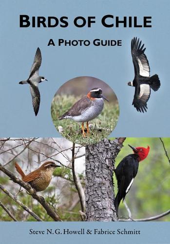 Бумажная книга «Birds of Chile: A Photo Guide», автор Стив Н. Г. Хауэлл - фото №1