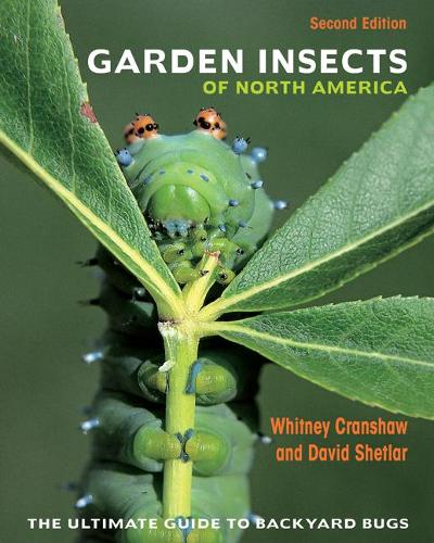 Паперова книга «Garden Insects of North America: The Ultimate Guide to Backyard Bugs - Second Edition», авторів Девід Шетлар, Вітні Креншоу - фото №1