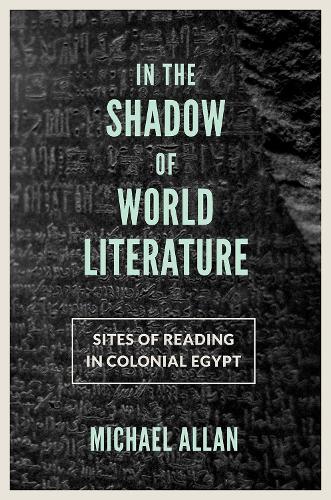 Бумажная книга «In the Shadow of World Literature: Sites of Reading in Colonial Egypt», автор Майкл Аллан - фото №1
