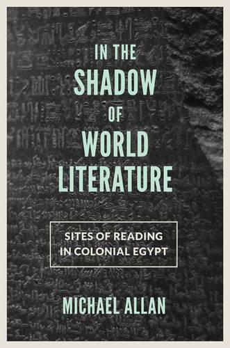 Бумажная книга «In the Shadow of World Literature: Sites of Reading in Colonial Egypt», автор Майкл Аллан - фото №1