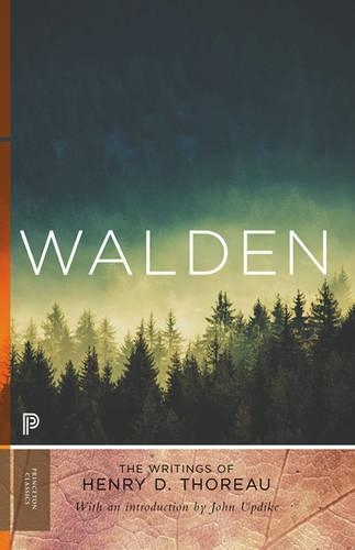 Бумажная книга «Walden: 150th Anniversary Edition», автор Генри Дэвид Торо - фото №1