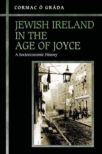 Бумажная книга «Jewish Ireland in the Age of Joyce: A Socioeconomic History», автор Кормак О Града - фото №1