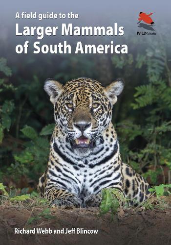 Паперова книга «A Field Guide to the Larger Mammals of South America», авторів Джефф Блінков, Річард Вебб - фото №1