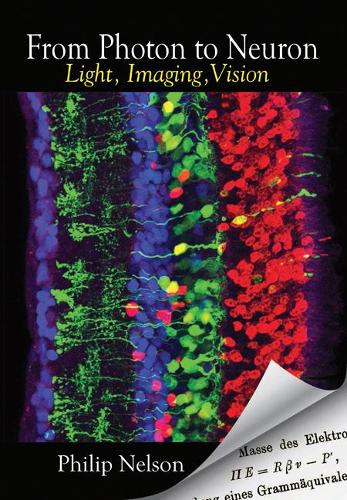 Паперова книга «From Photon to Neuron: Light, Imaging, Vision», автор Філіп Нельсон - фото №1