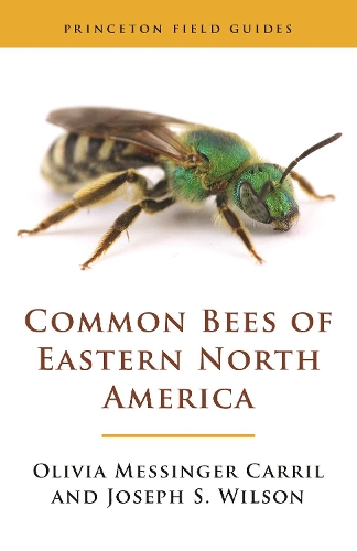 Паперова книга «Common Bees of Eastern North America», авторів Джозеф С. Вілсон, Олівія Мессінджер Керріл - фото №1