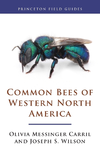Бумажная книга «Common Bees of Western North America», авторов Джозеф С. Уилсон, Оливия Мессингер Карриль - фото №1