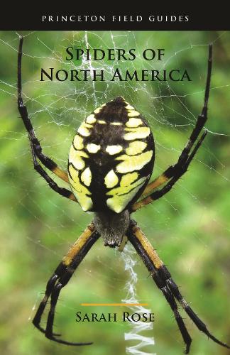 Паперова книга «Spiders of North America» - фото №1
