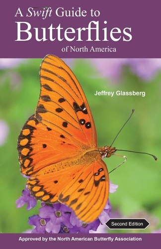 Бумажная книга «A Swift Guide to Butterflies of North America: Second Edition», автор Джеффри Глассберг - фото №1