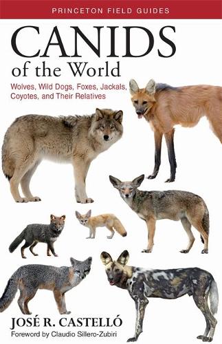 Бумажная книга «Canids of the World: Wolves, Wild Dogs, Foxes, Jackals, Coyotes, and Their Relatives», автор Хосе Р. Кастелло - фото №1