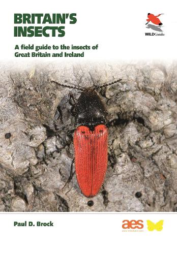 Бумажная книга «Britain's Insects: A Field Guide to the Insects of Great Britain and Ireland», автор Пол Д. Брок - фото №1