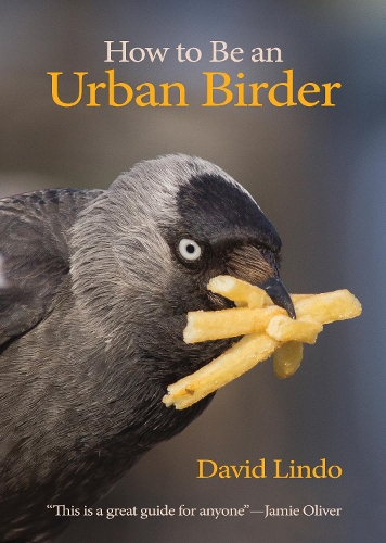 Бумажная книга «How to Be an Urban Birder», автор Дэвид Линдо - фото №1