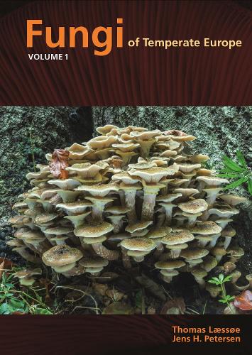 Бумажная книга «Fungi of Temperate Europe» - фото №1