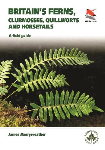 Бумажная книга «Ferns: Clubmosses, Quillworts and Horsetails of Britain and Ireland», автор Джеймс Мерривэзер - фото №1