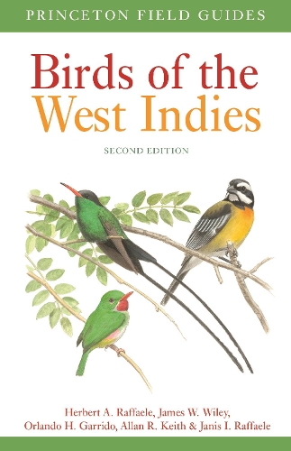 Бумажная книга «Birds of the West Indies Second Edition», авторов Аллан Кит, Герберт А. Раффаэле, Джеймс Уайли, Дженис И. Раффаэле, Орландо Х. Гарридо - фото №1