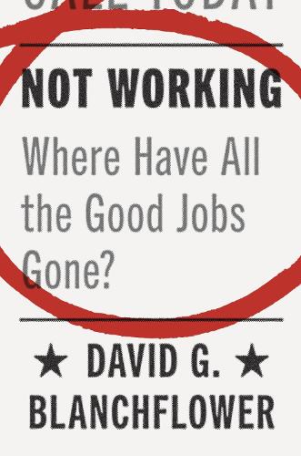 Бумажная книга «Not Working: Where Have All the Good Jobs Gone?», автор Дэвид Г. Бланчфлауэр - фото №1