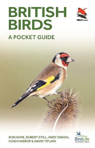 Бумажная книга «British Birds: A Pocket Guide», авторов Энди Свош, Роберт Стилл - фото №1