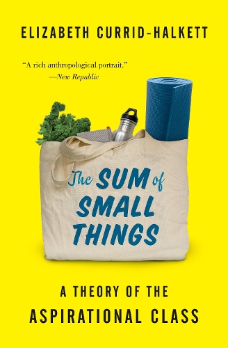 Паперова книга «The Sum of Small Things: A Theory of the Aspirational Class», автор Елізабет Каррід-Халкетт - фото №1