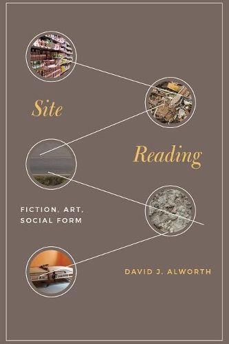 Бумажная книга «Site Reading: Fiction, Art, Social Form», автор Дэвид Дж. Олворт - фото №1