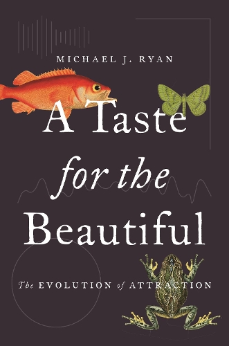 Бумажная книга «A Taste for the Beautiful: The Evolution of Attraction», автор Майкл Дж. Райан - фото №1