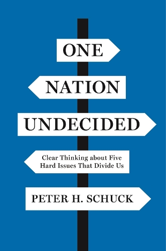 Бумажная книга «One Nation Undecided: Clear Thinking about Five Hard Issues That Divide Us», автор Питер Х. Шук - фото №1