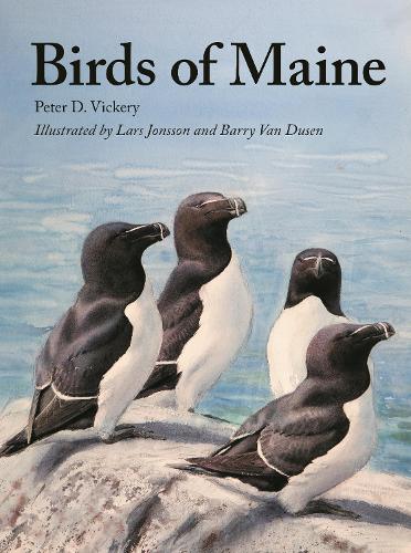 Паперова книга «Birds of Maine», авторів Чарльз Дункан, Джеффрі В. Уеллс, Пітер Д. Вікері, Вільям Дж. Шихан - фото №1