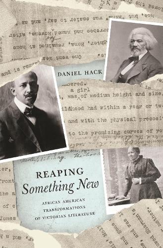 Бумажная книга «Reaping Something New: African American Transformations of Victorian Literature», автор Дэниел Хак - фото №1