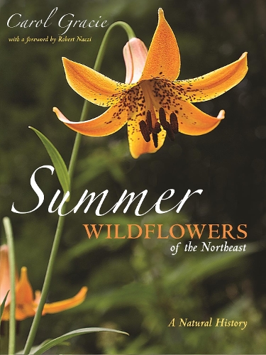 Бумажная книга «Summer Wildflowers of the Northeast: A Natural History», автор Кэрол Грейси - фото №1