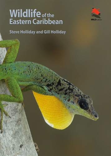 Паперова книга «Wildlife of the Eastern Caribbean», авторів Джил Холлідей, Стів Холлідей - фото №1