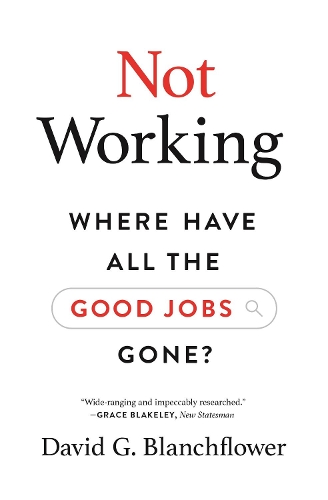 Паперова книга «Not Working: Where Have All the Good Jobs Gone?», автор Девід Г. Бланчфлауер - фото №1