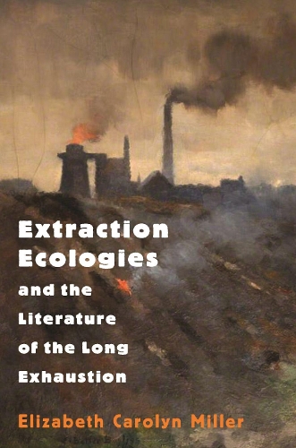 [object Object] «Extraction Ecologies and the Literature of the Long Exhaustion», автор Элизабет Каролин Миллер - фото №1