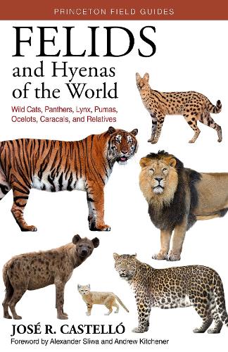 Бумажная книга «Felids and Hyenas of the World: Wildcats, Panthers, Lynx, Pumas, Ocelots, Caracals, and Relatives», автор Хосе Р. Кастелло - фото №1