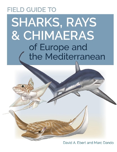 [object Object] «Field Guide to Sharks, Rays & Chimaeras of Europe and the Mediterranean», авторов Дэвид А. Эберт, Марк Дэндо - фото №1