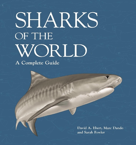 Бумажная книга «Sharks of the World: A Complete Guide», авторов Дэвид А. Эберт, Марк Дэндо, Сара Фаулер - фото №1