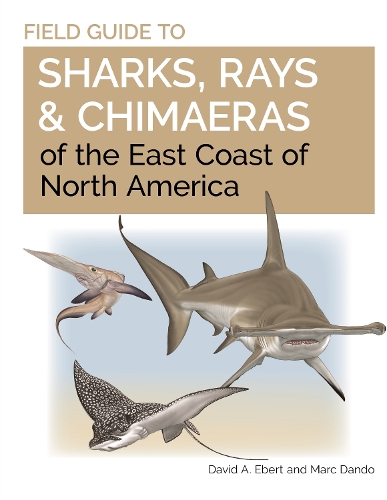 Бумажная книга «Field Guide to Sharks, Rays and Chimaeras of the East Coast of North America», авторов Дэвид А. Эберт, Марк Дэндо - фото №1