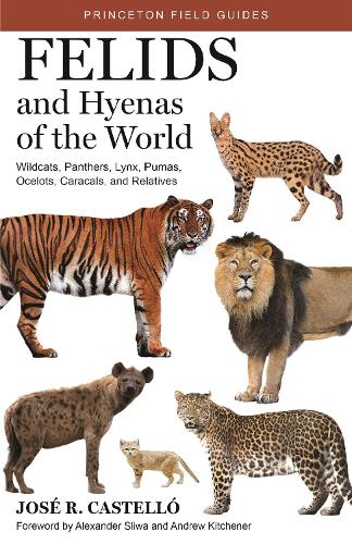 Бумажная книга «Felids and Hyenas of the World: Wildcats, Panthers, Lynx, Pumas, Ocelots, Caracals, and Relatives», автор Хосе Р. Кастелло - фото №1