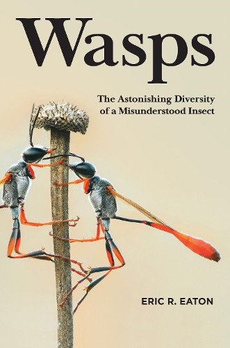 Бумажная книга «Wasps: The Astonishing Diversity of a Misunderstood Insect», автор Эрик Р. Итон - фото №1