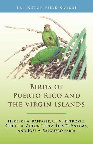 Бумажная книга «Birds of Puerto Rico and the Virgin Islands: Fully Revised and Updated Third Edition», авторов Клайв Петрович, Герберт А. Раффаэле, Хосе А. Сальгеро Фариа, Лиза Д. Интема, Серхио А. Колон Лопес - фото №1